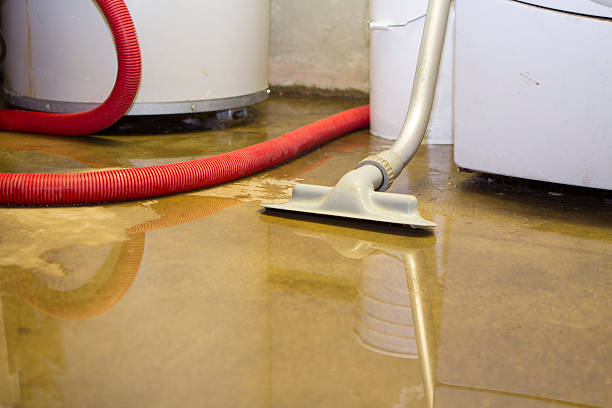 Best Water Damage Insurance Claim Assistance in Montalvin Manor, CA